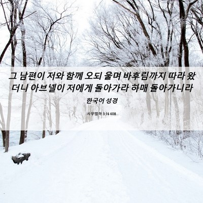 Picture 06 - 사무엘하 3:16 KOR - 그 남편이 저와 함께 오되 울며 - Bible Verse Picture