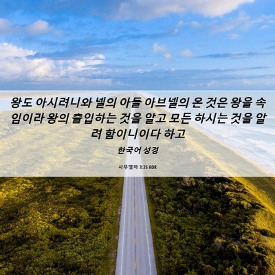 Picture 06 - 사무엘하 3:25 KOR - 왕도 아시려니와 넬의 아들 아브넬의 - Bible Verse Picture