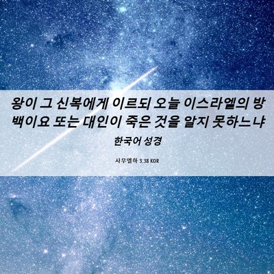 Picture 06 - 사무엘하 3:38 KOR - 왕이 그 신복에게 이르되 오늘 - Bible Verse Picture