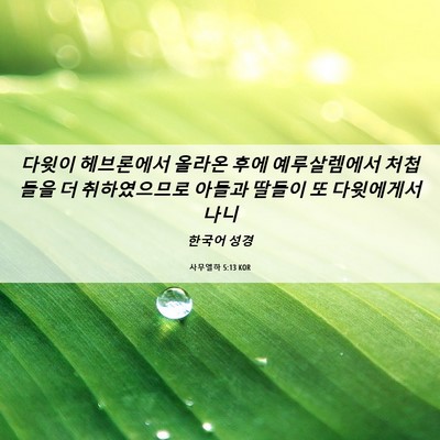 Picture 06 - 사무엘하 5:13 KOR - 다윗이 헤브론에서 올라온 후에 - Bible Verse Picture