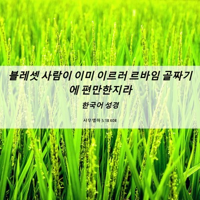 Picture 06 - 사무엘하 5:18 KOR - 블레셋 사람이 이미 이르러 르바임 - Bible Verse Picture