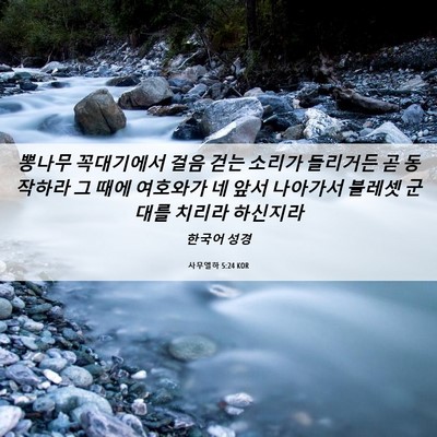 Picture 06 - 사무엘하 5:24 KOR - 뽕나무 꼭대기에서 걸음 걷는 소리가 - Bible Verse Picture