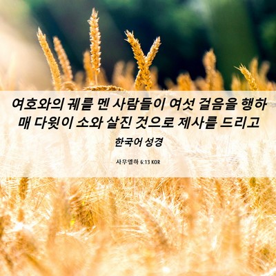 Picture 06 - 사무엘하 6:13 KOR - 여호와의 궤를 멘 사람들이 여섯 - Bible Verse Picture