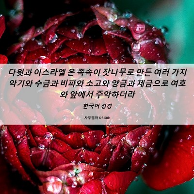 Picture 06 - 사무엘하 6:5 KOR - 다윗과 이스라엘 온 족속이 잣나무로 - Bible Verse Picture