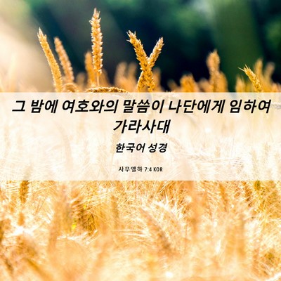 Picture 06 - 사무엘하 7:4 KOR - 그 밤에 여호와의 말씀이 나단에게 - Bible Verse Picture