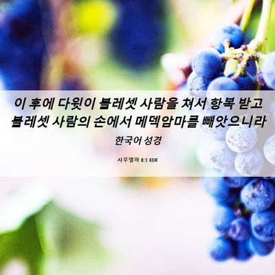 Picture 06 - 사무엘하 8:1 KOR - 이 후에 다윗이 블레셋 사람을 쳐서 - Bible Verse Picture