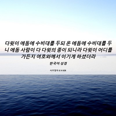 Picture 06 - 사무엘하 8:14 KOR - 다윗이 에돔에 수비대를 두되 온 - Bible Verse Picture