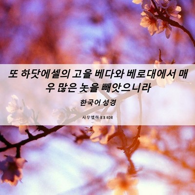 Picture 06 - 사무엘하 8:8 KOR - 또 하닷에셀의 고을 베다와 - Bible Verse Picture
