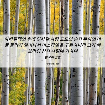 Picture 06 - 사사기 10:1 KOR - 아비멜렉의 후에 잇사갈 사람 도도의 - Bible Verse Picture