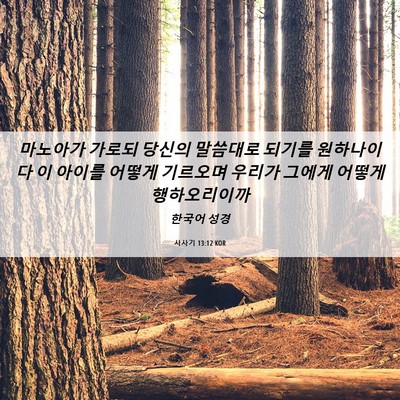Picture 06 - 사사기 13:12 KOR - 마노아가 가로되 당신의 말씀대로 - Bible Verse Picture