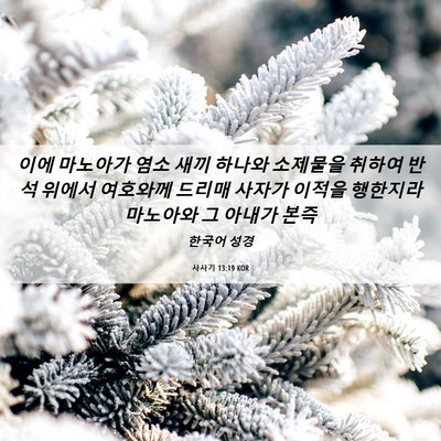 Picture 06 - 사사기 13:19 KOR - 이에 마노아가 염소 새끼 하나와 - Bible Verse Picture