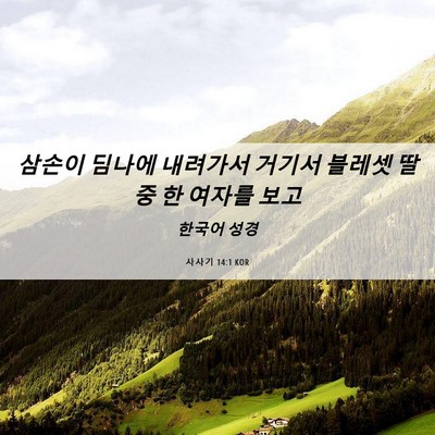 Picture 06 - 사사기 14:1 KOR - 삼손이 딤나에 내려가서 거기서 - Bible Verse Picture