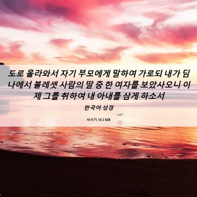 Picture 06 - 사사기 14:2 KOR - 도로 올라와서 자기 부모에게 말하여 - Bible Verse Picture