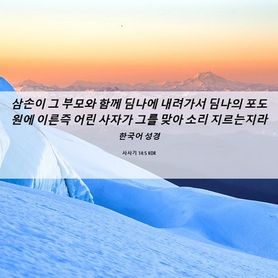 Picture 06 - 사사기 14:5 KOR - 삼손이 그 부모와 함께 딤나에 - Bible Verse Picture