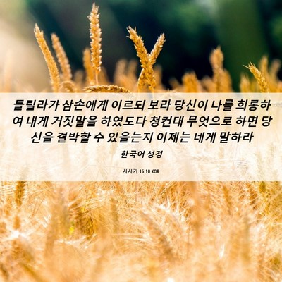 Picture 06 - 사사기 16:10 KOR - 들릴라가 삼손에게 이르되 보라 - Bible Verse Picture
