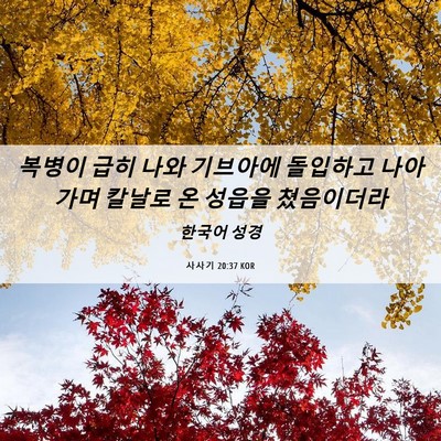 Picture 06 - 사사기 20:37 KOR - 복병이 급히 나와 기브아에 돌입하고 - Bible Verse Picture