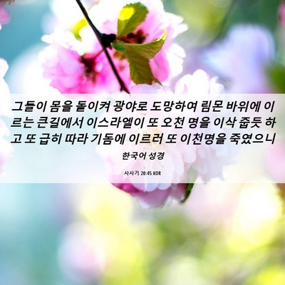 Picture 06 - 사사기 20:45 KOR - 그들이 몸을 돌이켜 광야로 도망하여 - Bible Verse Picture