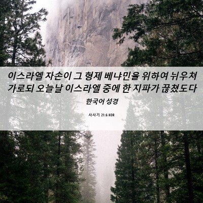 Picture 06 - 사사기 21:6 KOR - 이스라엘 자손이 그 형제 베냐민을 - Bible Verse Picture