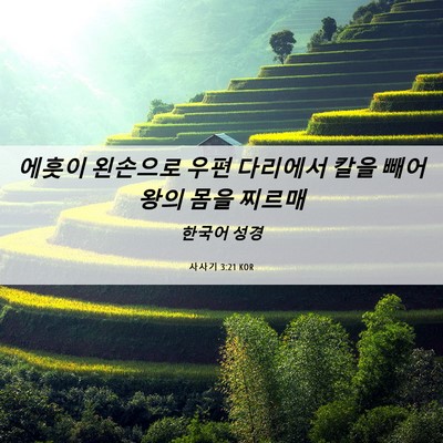 Picture 06 - 사사기 3:21 KOR - 에훗이 왼손으로 우편 다리에서 칼을 - Bible Verse Picture
