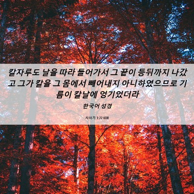Picture 06 - 사사기 3:22 KOR - 칼자루도 날을 따라 들어가서 그 - Bible Verse Picture