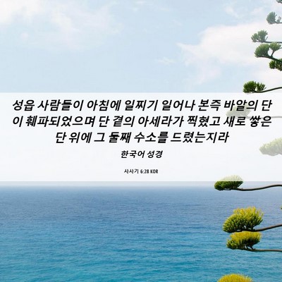 Picture 06 - 사사기 6:28 KOR - 성읍 사람들이 아침에 일찌기 일어나 - Bible Verse Picture
