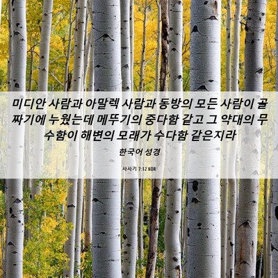 Picture 06 - 사사기 7:12 KOR - 미디안 사람과 아말렉 사람과 동방의 - Bible Verse Picture