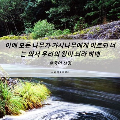 Picture 06 - 사사기 9:14 KOR - 이에 모든 나무가 가시나무에게 - Bible Verse Picture