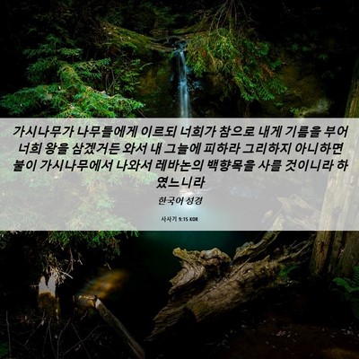 Picture 06 - 사사기 9:15 KOR - 가시나무가 나무들에게 이르되 - Bible Verse Picture