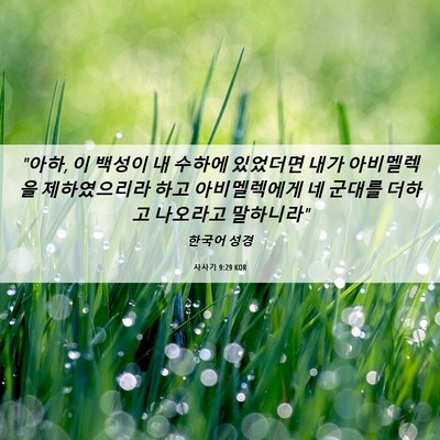 Picture 06 - 사사기 9:29 KOR - 