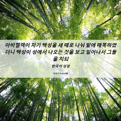 Picture 06 - 사사기 9:43 KOR - 아비멜렉이 자기 백성을 세 떼로 - Bible Verse Picture