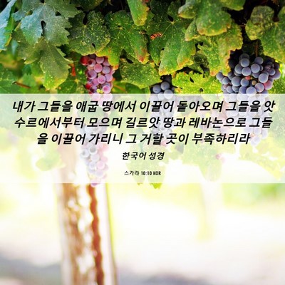 Picture 06 - 스가랴 10:10 KOR - 내가 그들을 애굽 땅에서 이끌어 - Bible Verse Picture
