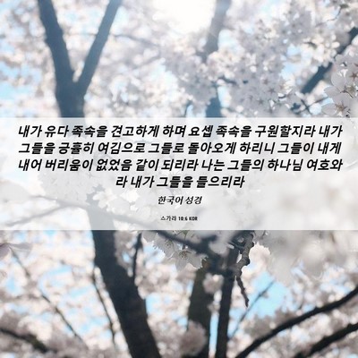 Picture 06 - 스가랴 10:6 KOR - 내가 유다 족속을 견고하게 하며 - Bible Verse Picture