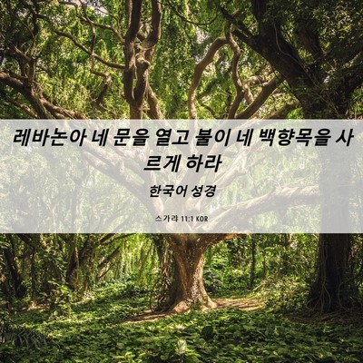 Picture 06 - 스가랴 11:1 KOR - 레바논아 네 문을 열고 불이 네 - Bible Verse Picture