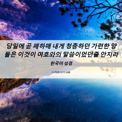 Picture 06 - 스가랴 11:11 KOR - 당일에 곧 폐하매 내게 청종하던 - Bible Verse Picture