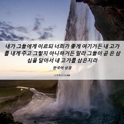 Picture 06 - 스가랴 11:12 KOR - 내가 그들에게 이르되 너희가 좋게 - Bible Verse Picture