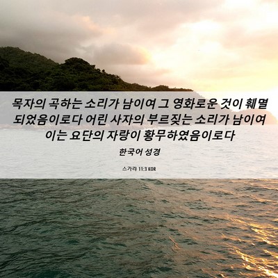 Picture 06 - 스가랴 11:3 KOR - 목자의 곡하는 소리가 남이여 그 - Bible Verse Picture