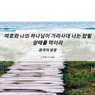 Picture 06 - 스가랴 11:4 KOR - 여호와 나의 하나님이 가라사대 너는 - Bible Verse Picture