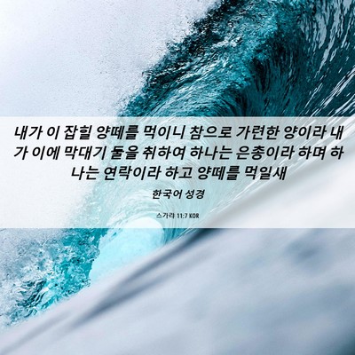 Picture 06 - 스가랴 11:7 KOR - 내가 이 잡힐 양떼를 먹이니 참으로 - Bible Verse Picture