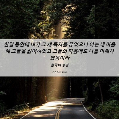 Picture 06 - 스가랴 11:8 KOR - 한달 동안에 내가 그 세 목자를 - Bible Verse Picture
