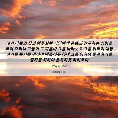 Picture 06 - 스가랴 12:10 KOR - 내가 다윗의 집과 예루살렘 거민에게 - Bible Verse Picture