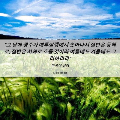 Picture 06 - 스가랴 14:8 KOR - 