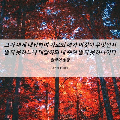 Picture 06 - 스가랴 4:13 KOR - 그가 내게 대답하여 가로되 네가 - Bible Verse Picture
