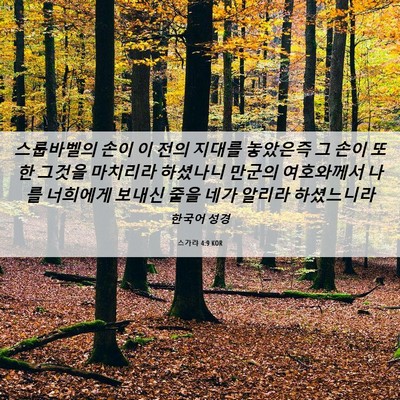 Picture 06 - 스가랴 4:9 KOR - 스룹바벨의 손이 이 전의 지대를 - Bible Verse Picture
