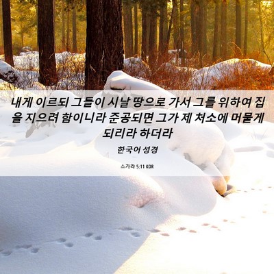 Picture 06 - 스가랴 5:11 KOR - 내게 이르되 그들이 시날 땅으로 - Bible Verse Picture