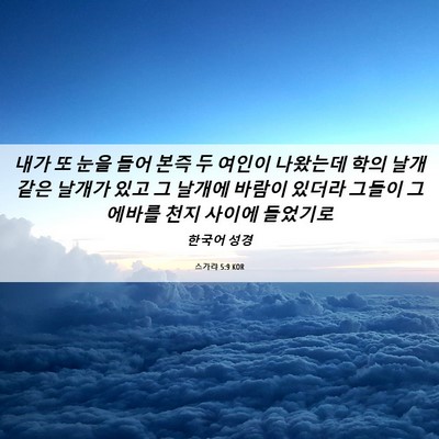 Picture 06 - 스가랴 5:9 KOR - 내가 또 눈을 들어 본즉 두 여인이 - Bible Verse Picture