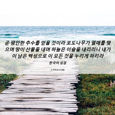 Picture 06 - 스가랴 8:12 KOR - 곧 평안한 추수를 얻을 것이라 - Bible Verse Picture