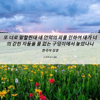 Picture 06 - 스가랴 9:11 KOR - 또 너로 말할찐대 네 언약의 피를 - Bible Verse Picture