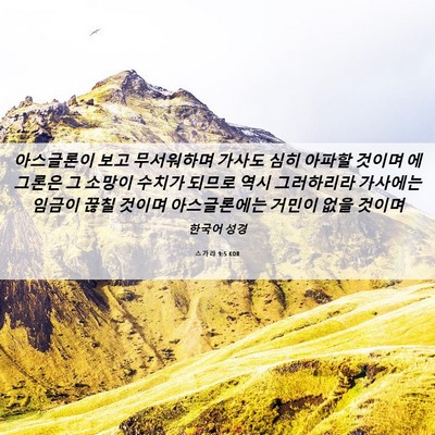 Picture 06 - 스가랴 9:5 KOR - 아스글론이 보고 무서워하며 가사도 - Bible Verse Picture