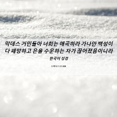 Picture 06 - 스바냐 1:11 KOR - 막데스 거민들아 너희는 애곡하라 - Bible Verse Picture