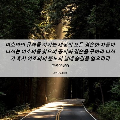 Picture 06 - 스바냐 2:3 KOR - 여호와의 규례를 지키는 세상의 모든 - Bible Verse Picture